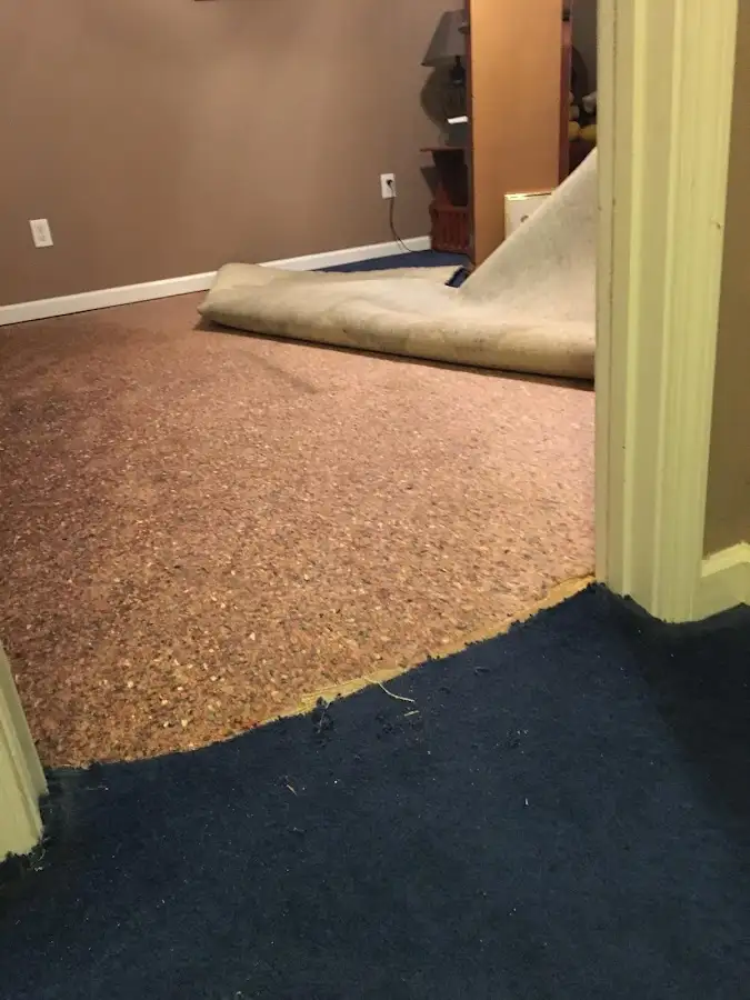 Carpet pad removal revealing water damage during Water Mitigation Services in Springboro